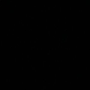 Meet your Posher, Brielle